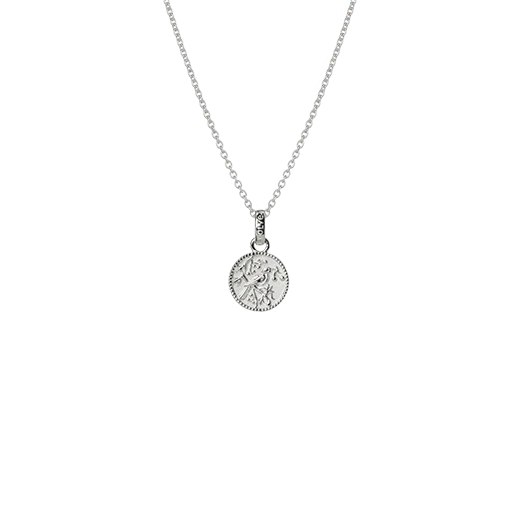 Evolve Tui Coin Silver Necklace