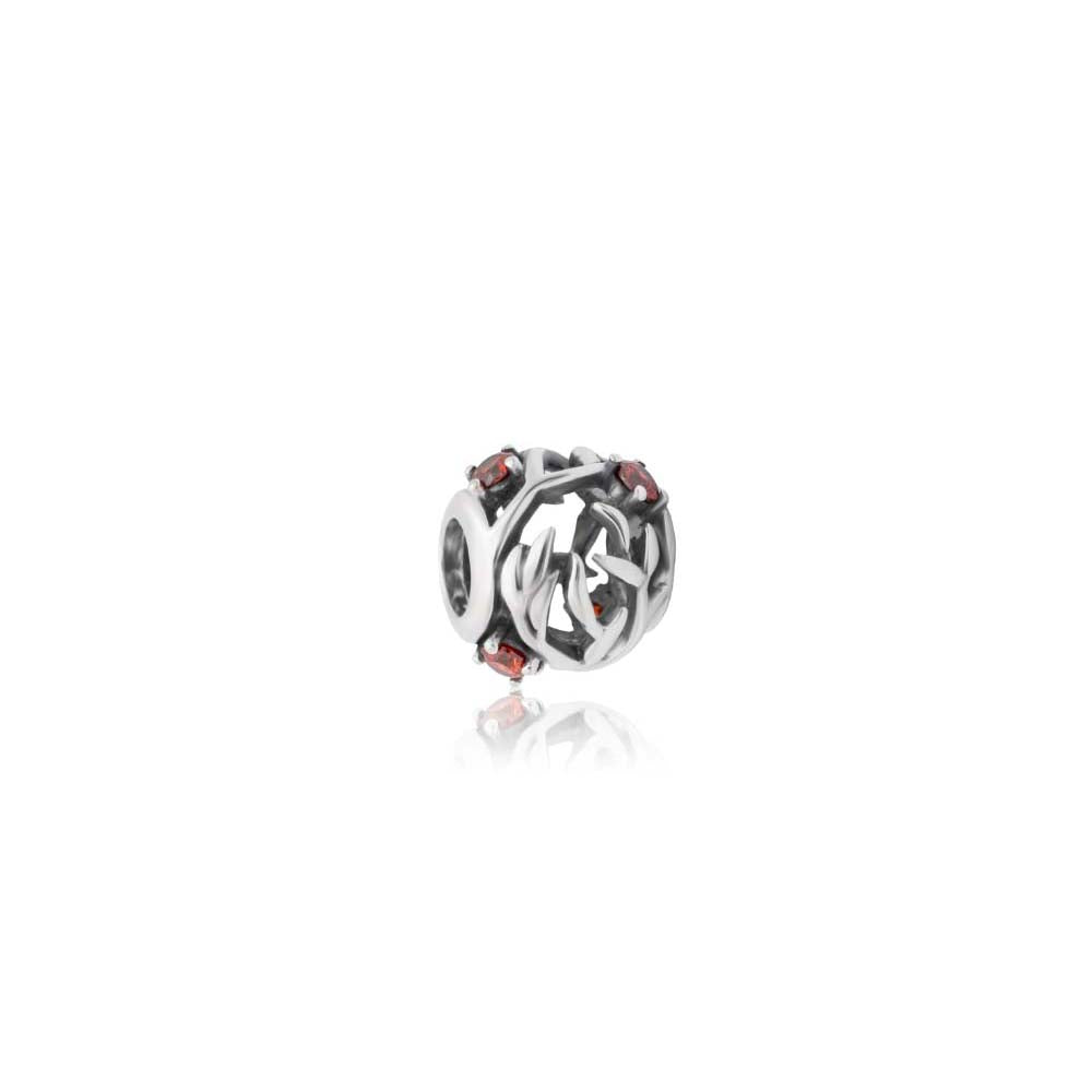Evolve January (Protection) CZ Charm