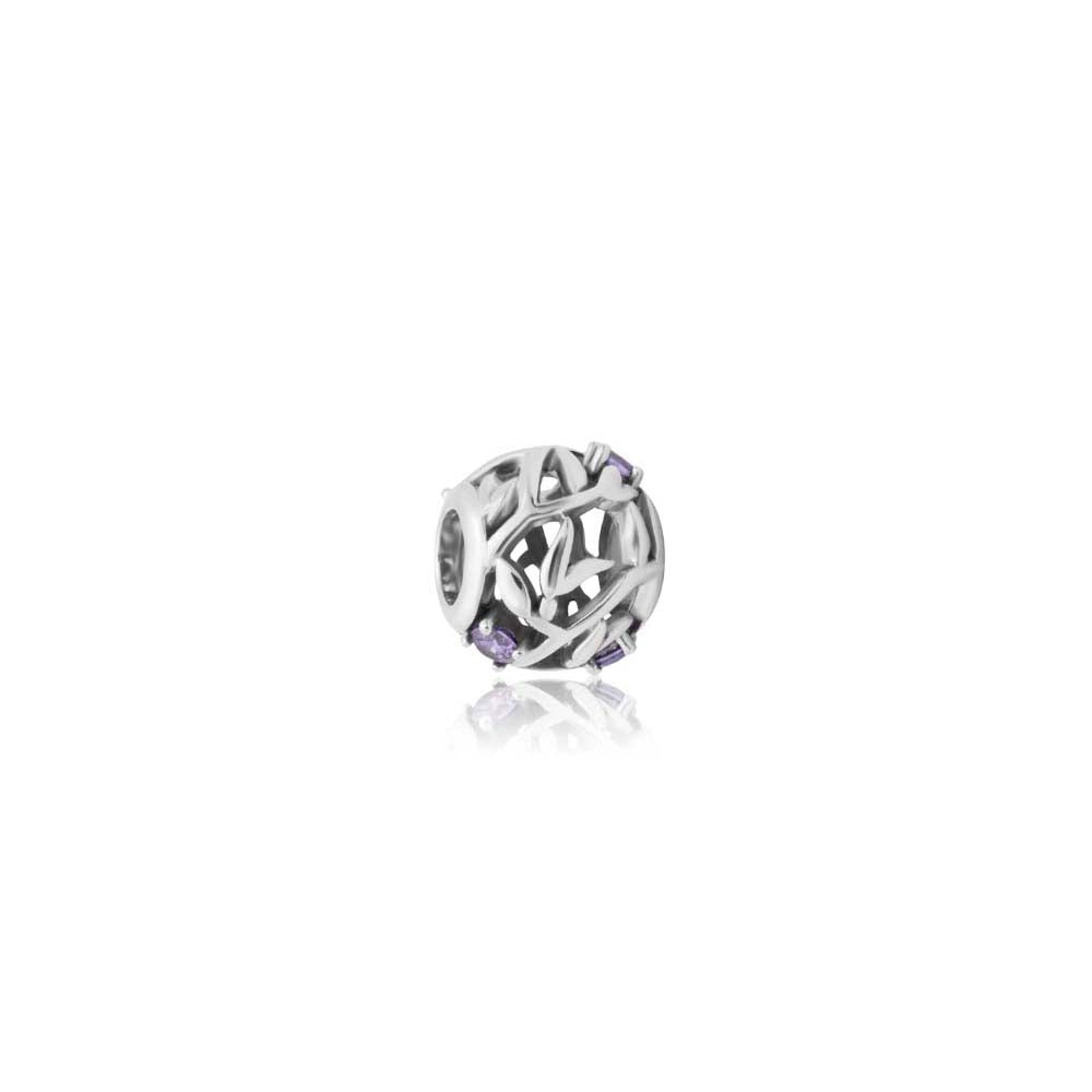 Evolve February (Wisdom) CZ Charm