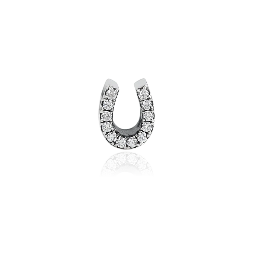 Evolve Horseshoe (Luck) Charm