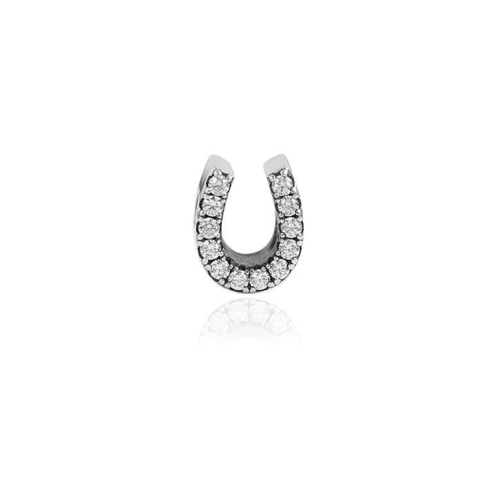 Evolve Horseshoe (Luck) Charm