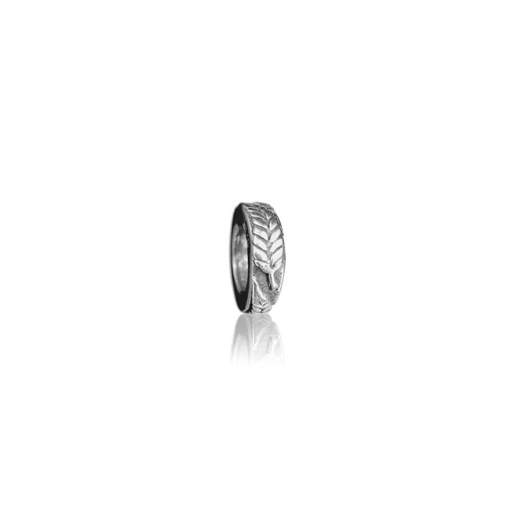 Evolve Silver Fern Spacer