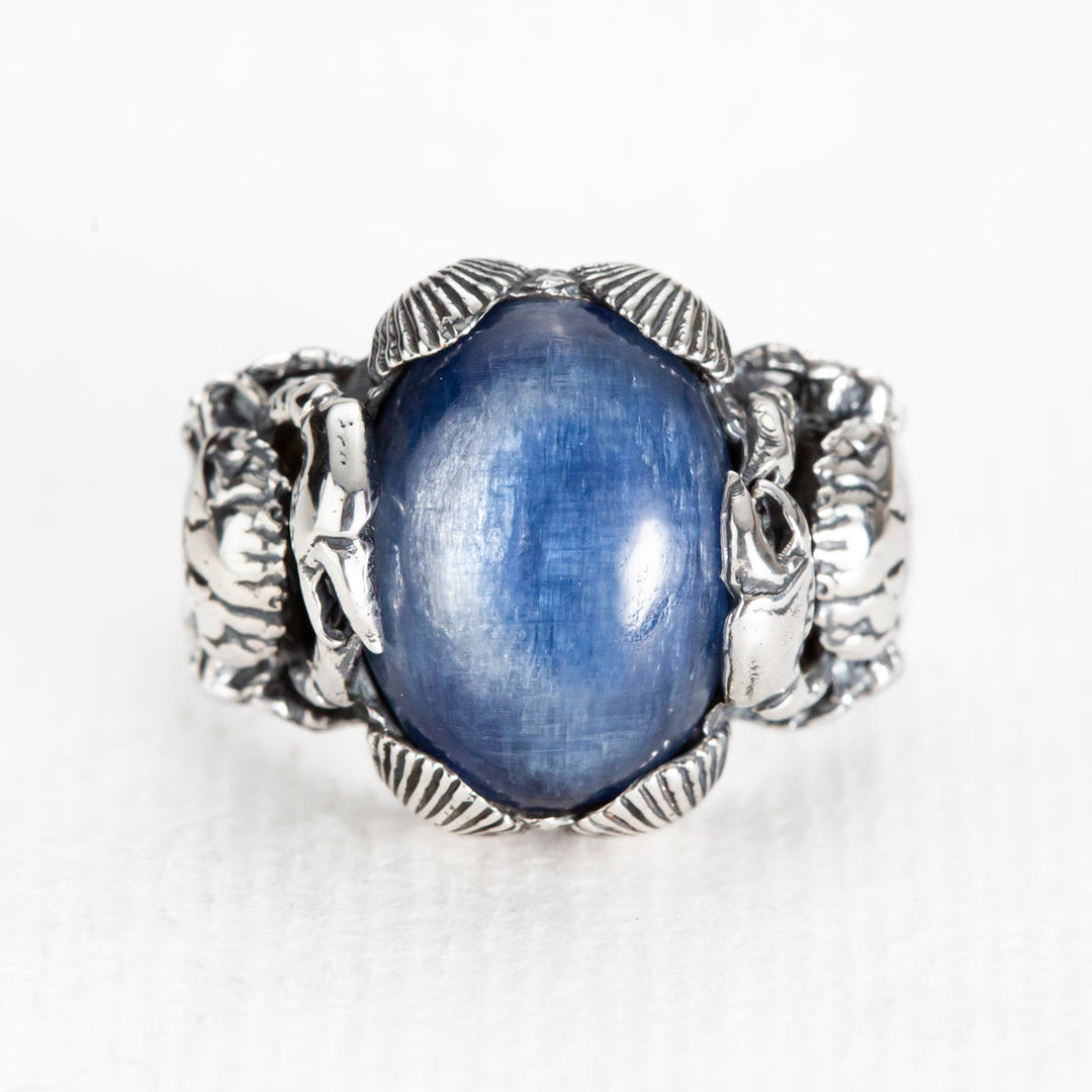 Nick Von K Sterling Silver Under the Sea Kyanite Ring