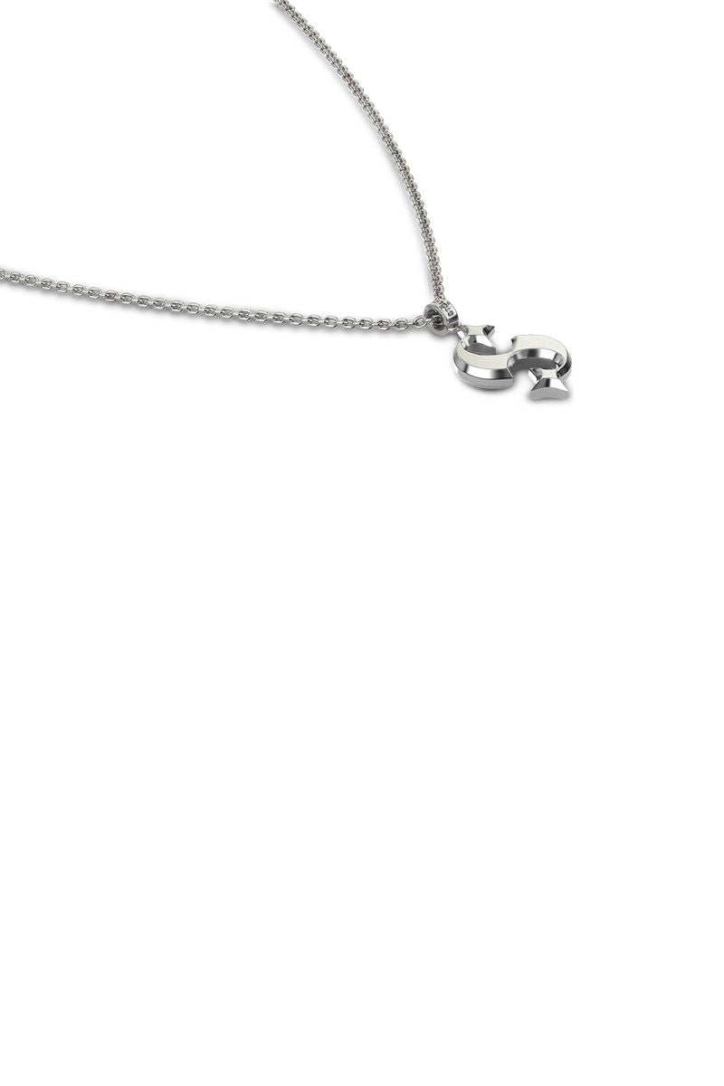 Stolen Silver Hidden Hearts Necklace